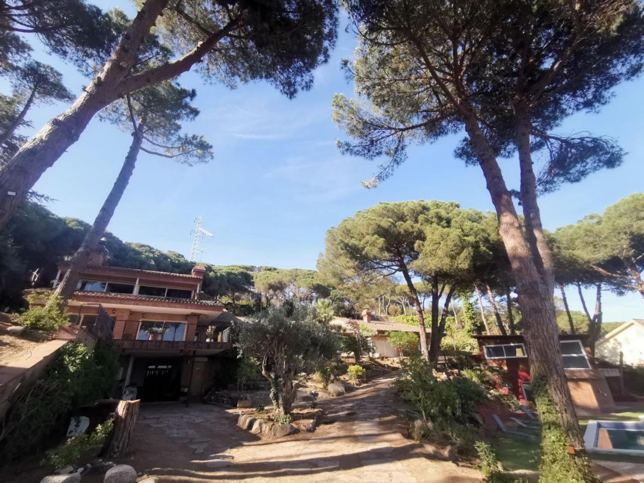 Villa Maresme & Villa Rosa มาตาโร ภายนอก รูปภาพ